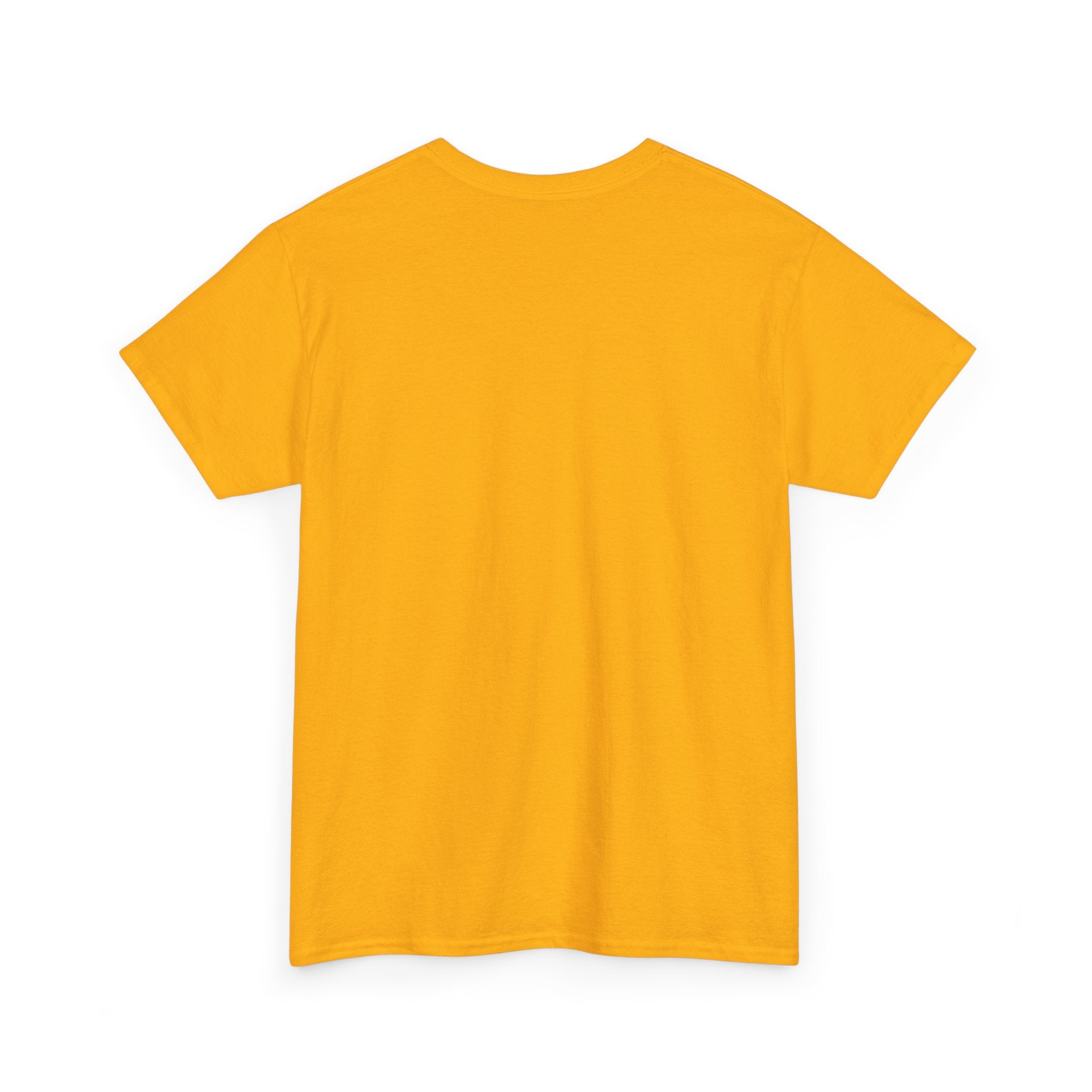 Overlooking the City T-Shirt — Scenic Urban Skyline Tee